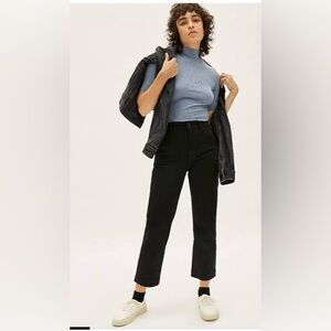 Everlane Black Straight Leg Cropped Pants